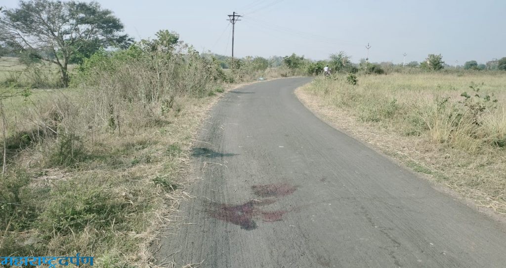 एसंबा-वाघोली रोडवर ट्रकच्या धडकेत वन प्राणी हरिणाचा मृत्यु
